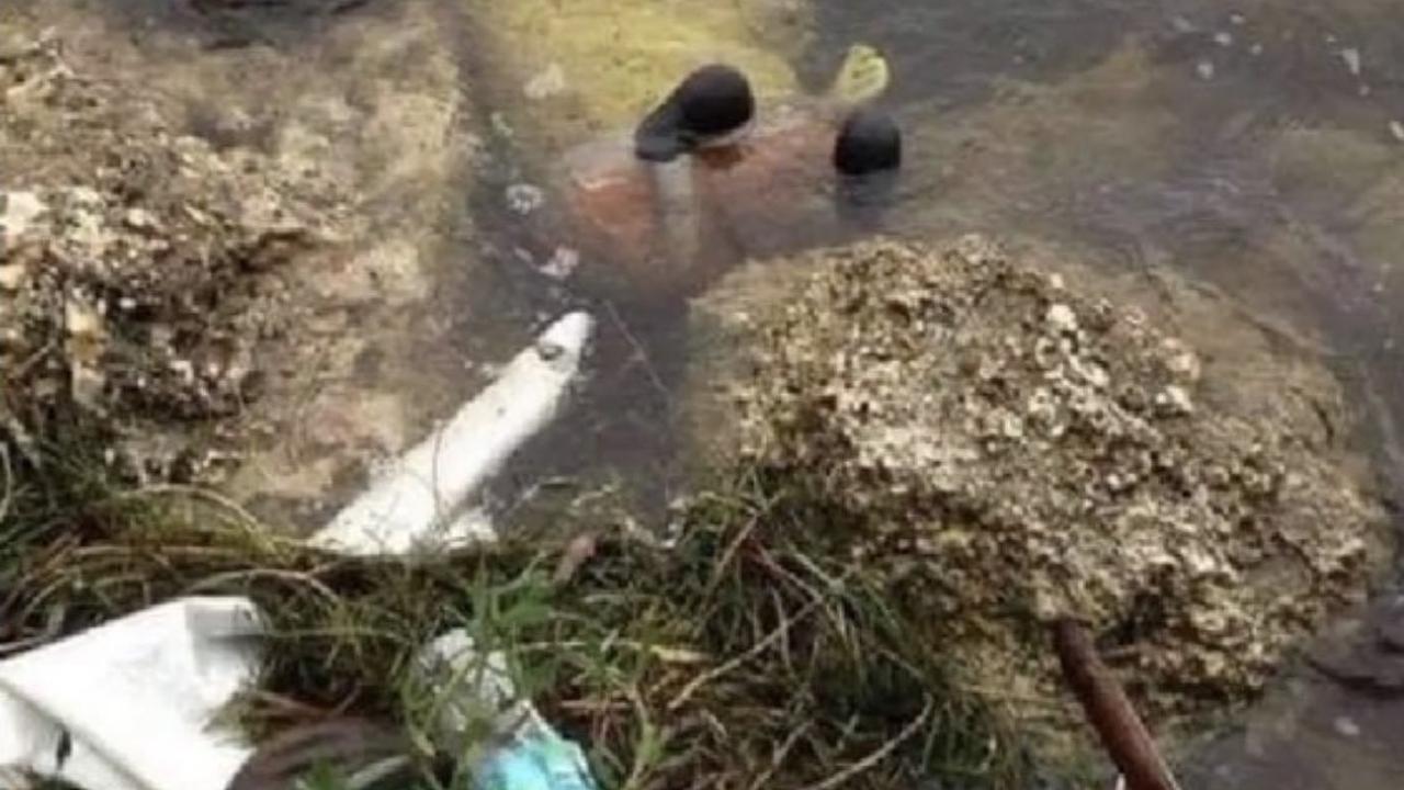 Editan Foto Jika Spongebob Squarepants Meninggal di Indonesia Ini Kocak banget